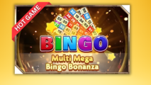 Multi Mega Bingo Bonanza